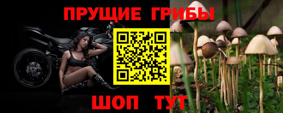 Псилоцибиновые грибы MAGIC MUSHROOMS Карталы